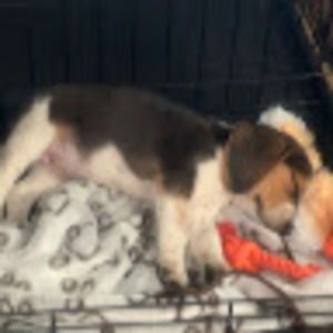 Meet your Posher, Tamara